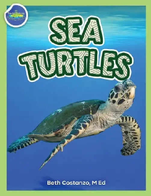 Sea Turtles Activity Workbook ages 4-8 by Beth Costanzo