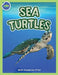 Sea Turtles Activity Workbook ages 4-8 by Beth Costanzo