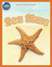 Sea Stars Activity Workbook ages 4-8 by Beth Costanzo