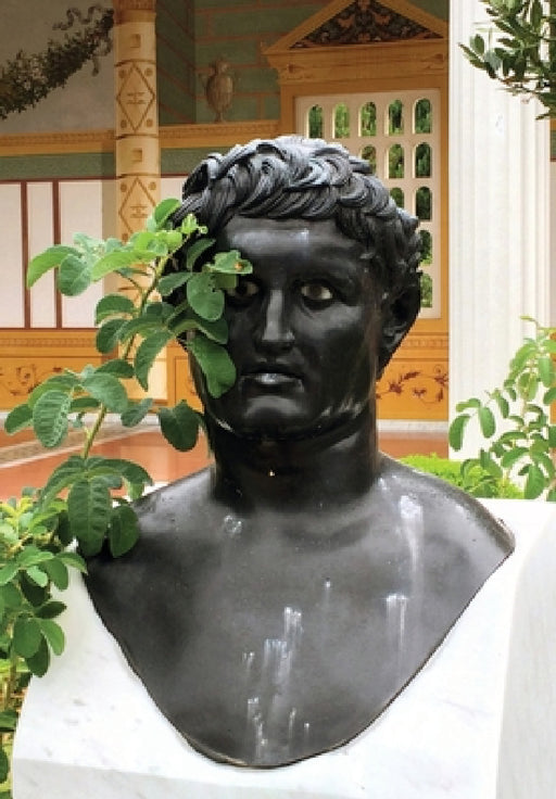 Cellybrain by Ray Potes