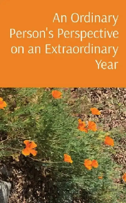 An Ordinary Person's Perspective on an Extraordinary Year by Beth Donovan