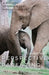Perspective Parenting: A Mindful Approach for Single Parents: A Mindful Approach for Single Parents by Caroline Smith