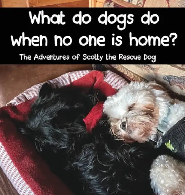 What do dogs do when no one is home? by Tamara Janiga