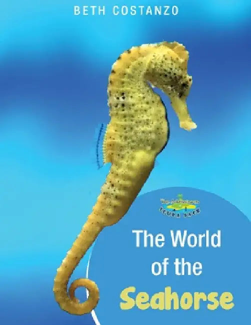 Seahorse Activity Workbook For Kids ages 4-8 by Beth Costanzo