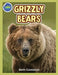 Grizzly Bear Activity Workbook ages 4-8 by Beth Costanzo