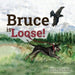Bruce is Loose! by Anne McMillan