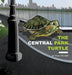 The Central Park Turtle: The Central Park Turtle by Paul Kruger