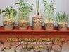 Abc's of Rock Gardening with Ketcham Es Students by Richard C. Campbell