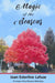 Magic of the Seasons by Joan Esterline Lafuze