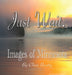 Just Wait by Cheri Beatty
