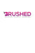 Brushed Publishing Journal by Vernicia Respres