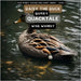 Daisy The Duck Quirky Quacktale by Whimsy, Wise