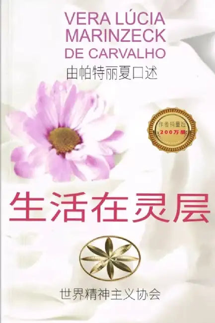生活在灵层 by Vera Lúcia Marinzeck de Carvalho