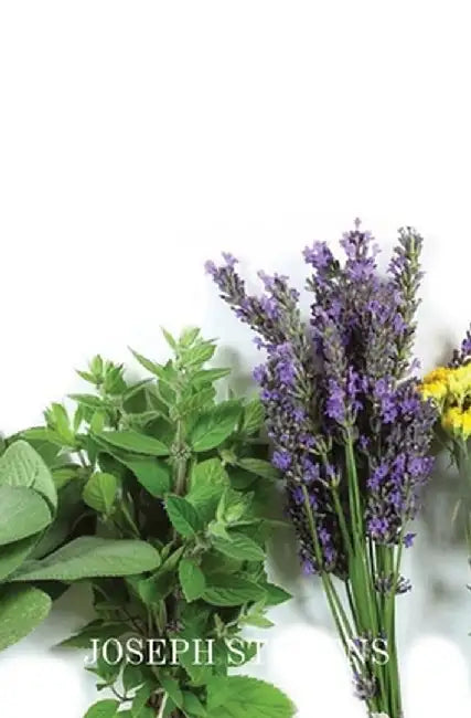 Alternative Medicines by Joseph P. Stevens