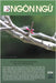 Tạp Chí NGÔN NGỮ Số 24 (1 tháng 3 năm 2023) by Luan, Hoan