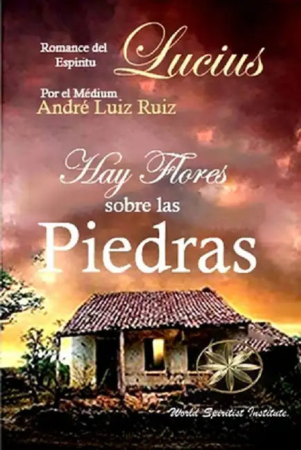 Hay Flores sobre las Piedras by André Luiz Ruiz