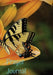 Prayer Journal by Denise N. Lawless