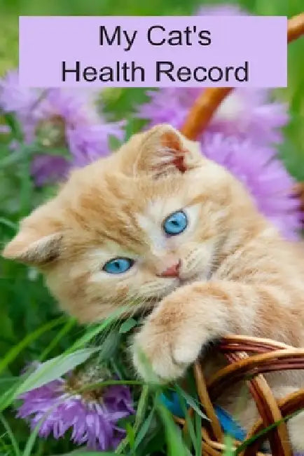 My Cat's Health Records by Bethany Book Co