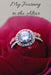 My Journey to the Altar by Krishna Ruffin