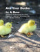 Are Your Ducks In A Row: Organize Information On Your Finances - Health - Housekeeping - Last Wishes & More Handy (UK) Handbook by Shayley Stationery Books