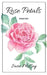 Rose Petals by Sara McCoy