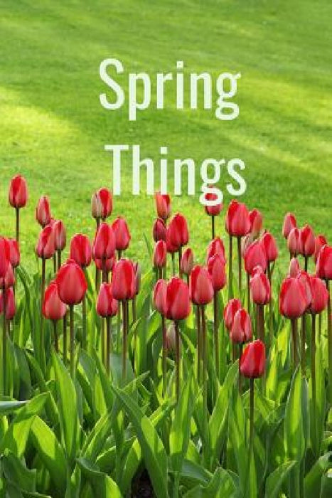 Spring Things by Hidden Valley Press