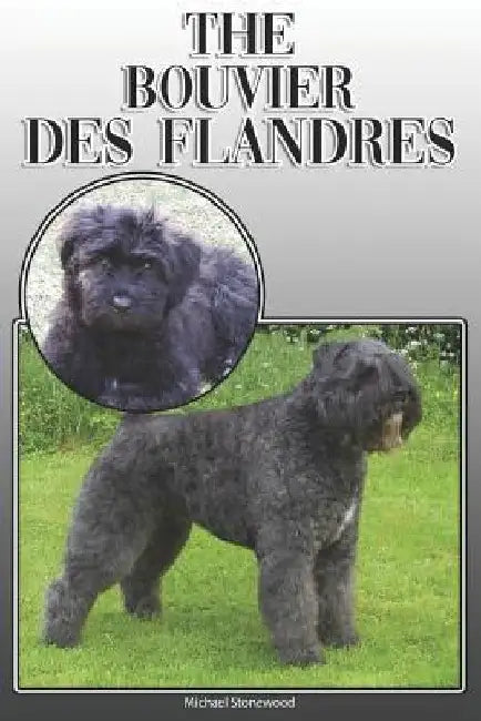 The Bouvier Des Flandres: A Complete and Comprehensive Owners Guide To: Buying, Owning, Health, Grooming, Training, Obedience, Understanding and by Michael Stonewood