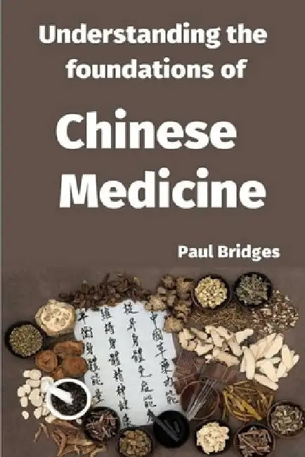 Understanding the foundations of Chinese Medicine by Paul Bridges