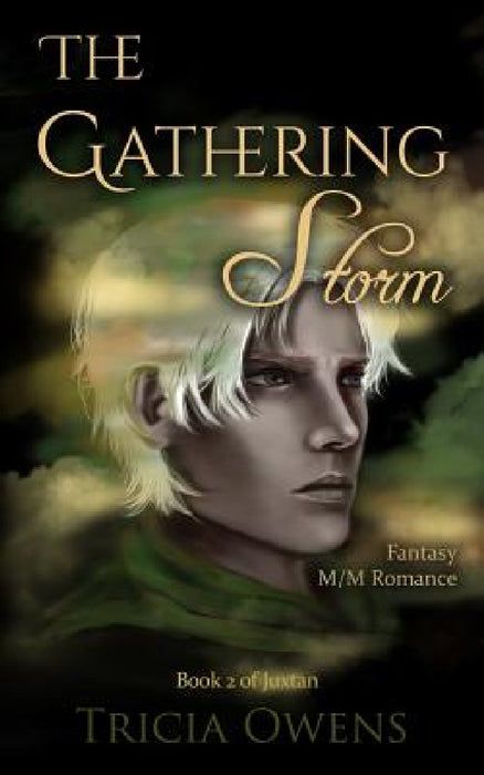The Gathering Storm: Fantasy M/M Romance by Tricia Owens