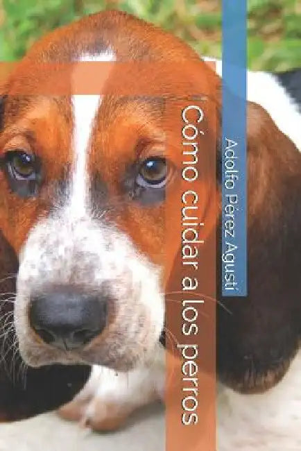 Cómo Cuidar a Los Perros by Perez Agusti, Adolfo