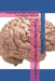 Fundamentals of Neurological Diagnosis 2: A book on the basic concepts in Neurological Diagnosis by Bertha Chioma Ekeh