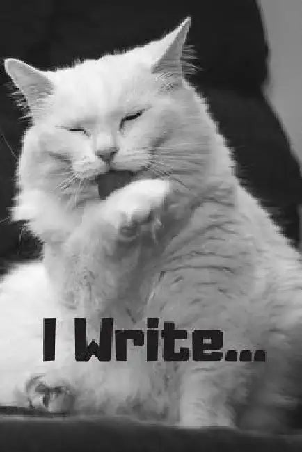 I Write by Krishna Ruffin