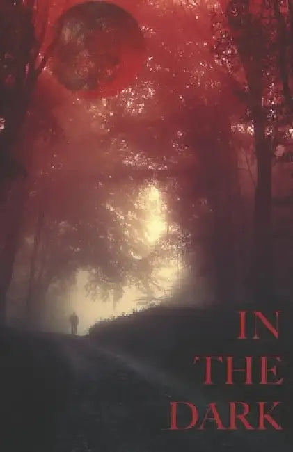 In The Dark by Aaron Van Dyck