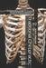 Traditional Chiropractic: A Layperson's Guide to How it Works & Why it's Attacked by John L. Reizer