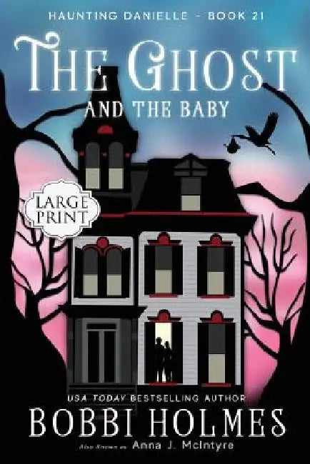 The Ghost and the Baby by Anna J. McIntyre