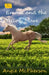 Emma and the Yellow Mare by Angie McPherson