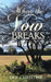 When the Vow Breaks by Dee Christine