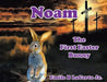 Noam-The First Easter Bunny by Emile B. Lacerte Jr