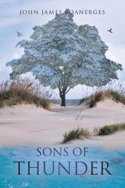 Sons of Thunder by John James Boanerges