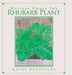 Mystery Under the Rhubarb Plant by Kathy Hendricks