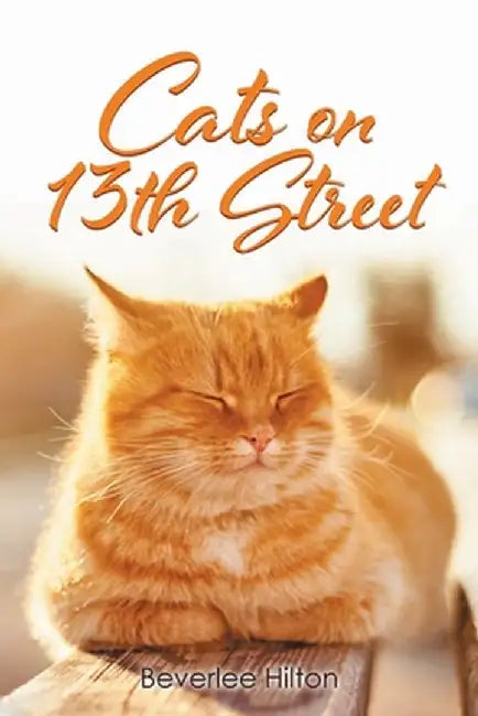 Cats on 13th Street by Beverlee Hilton