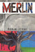 Merlin by Robin Stone