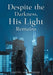 Despite the Darkness, His Light Remains by Rachel Vanderwood