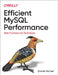 Efficient MySQL Performance: Best Practices and Techniques by Daniel Nichter