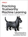 Practicing Trustworthy Machine Learning: Consistent, Transparent, and Fair AI Pipelines by Yada Pruksachatkun
