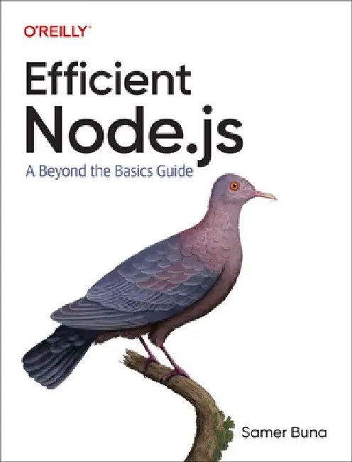 Efficient Node.Js: A Beyond-The-Basics Guide by Samer Buna