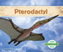 Pterodactyl by Grace Hansen