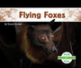 Flying Foxes by Grace Hansen