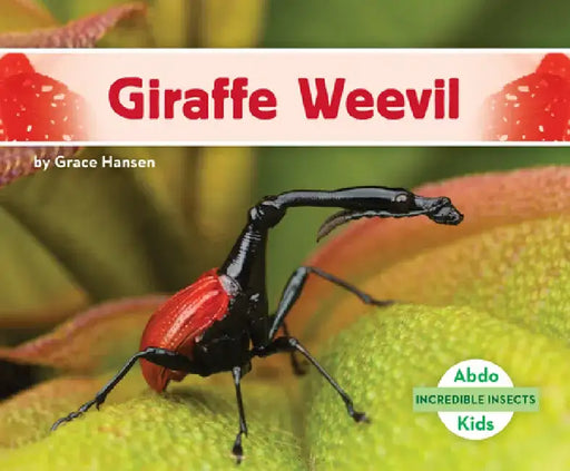 Giraffe Weevil by Grace Hansen