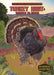Turkey Hunt: Trouble in Texas: Trouble in Texas by Emily L. Hay Hinsdale